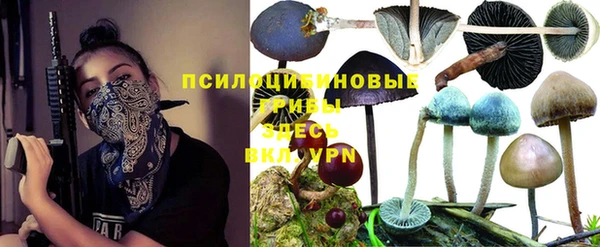 соль курить ск Протвино