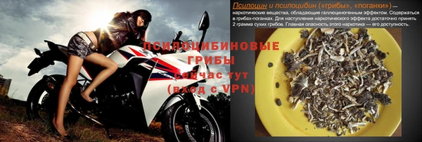 кристаллы Инта