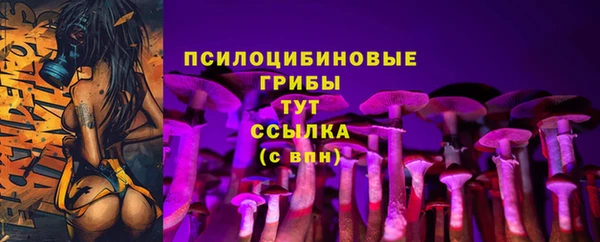 молекула духа Каменск-Шахтинский