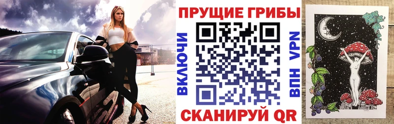 где купить   маркетплейс Telegram  Псилоцибиновые грибы Psilocybine cubensis  Советск 