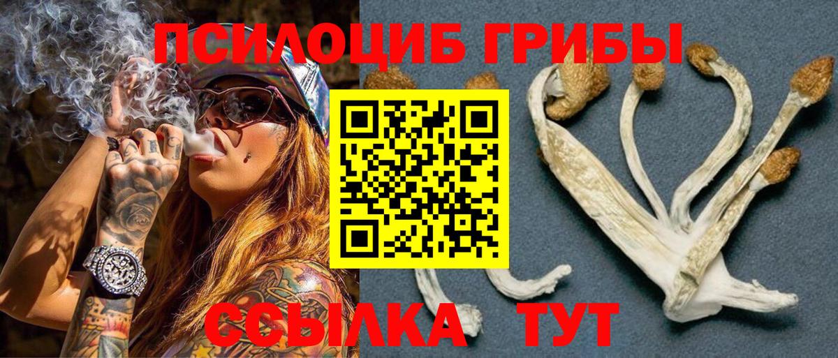 Советск  Псилоцибиновые грибы MAGIC MUSHROOMS  Псилоцибиновые грибы ЛСД  Вход с VPN 