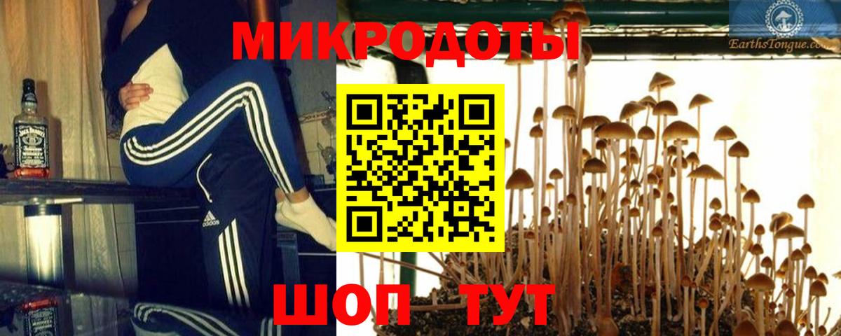 Галлюциногенные грибы Psilocybe Советск